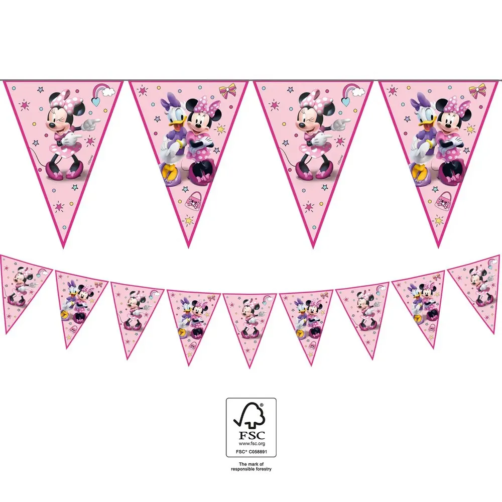 MINNIE MOUSE JUNIOR PARTY ZASTAVICE 1/1 