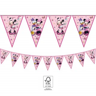 MINNIE MOUSE JUNIOR PARTY ZASTAVICE 1/1 