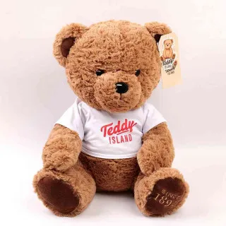 YOYOSO PLISANA IGRACKA TEDDY 