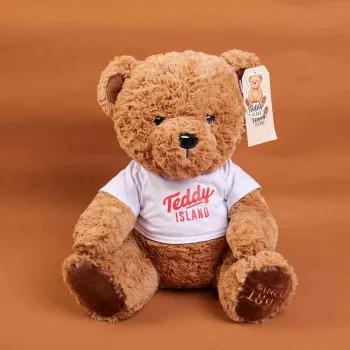 YOYOSO PLISANA IGRACKA TEDDY 