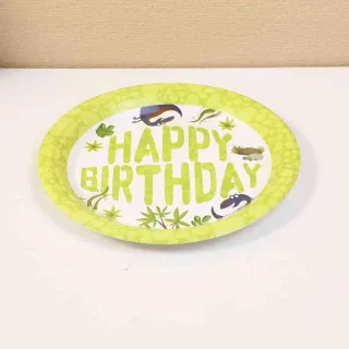 YOYOSO TANJIR KARTONSKI 12 KOM DINO 